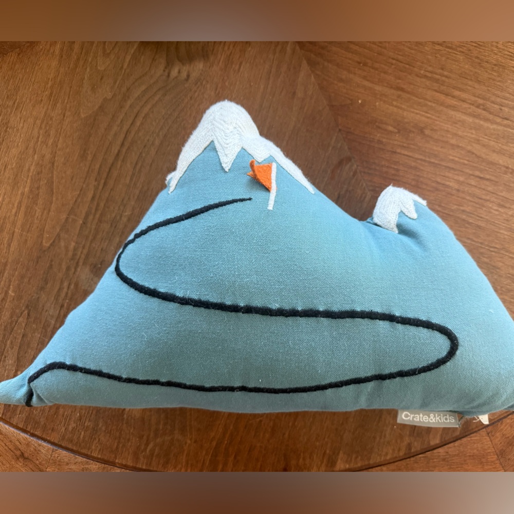 Crate & Kids Blue Mountain Pillow